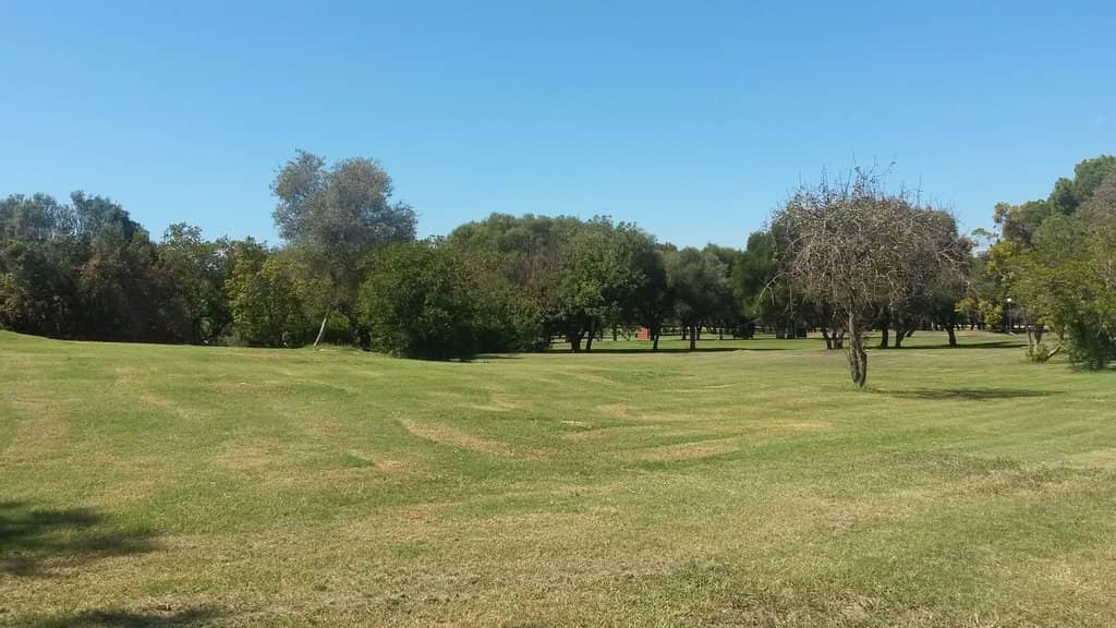 Tranquil Bird Watching