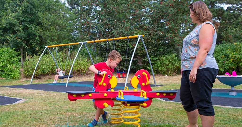 Vintage Aircraft in Flight