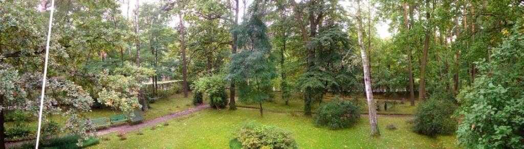 Literary Connections