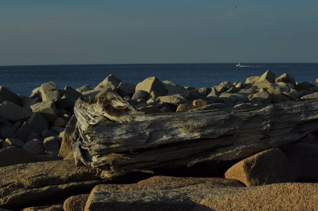 Visitor Center & Picnic Areas