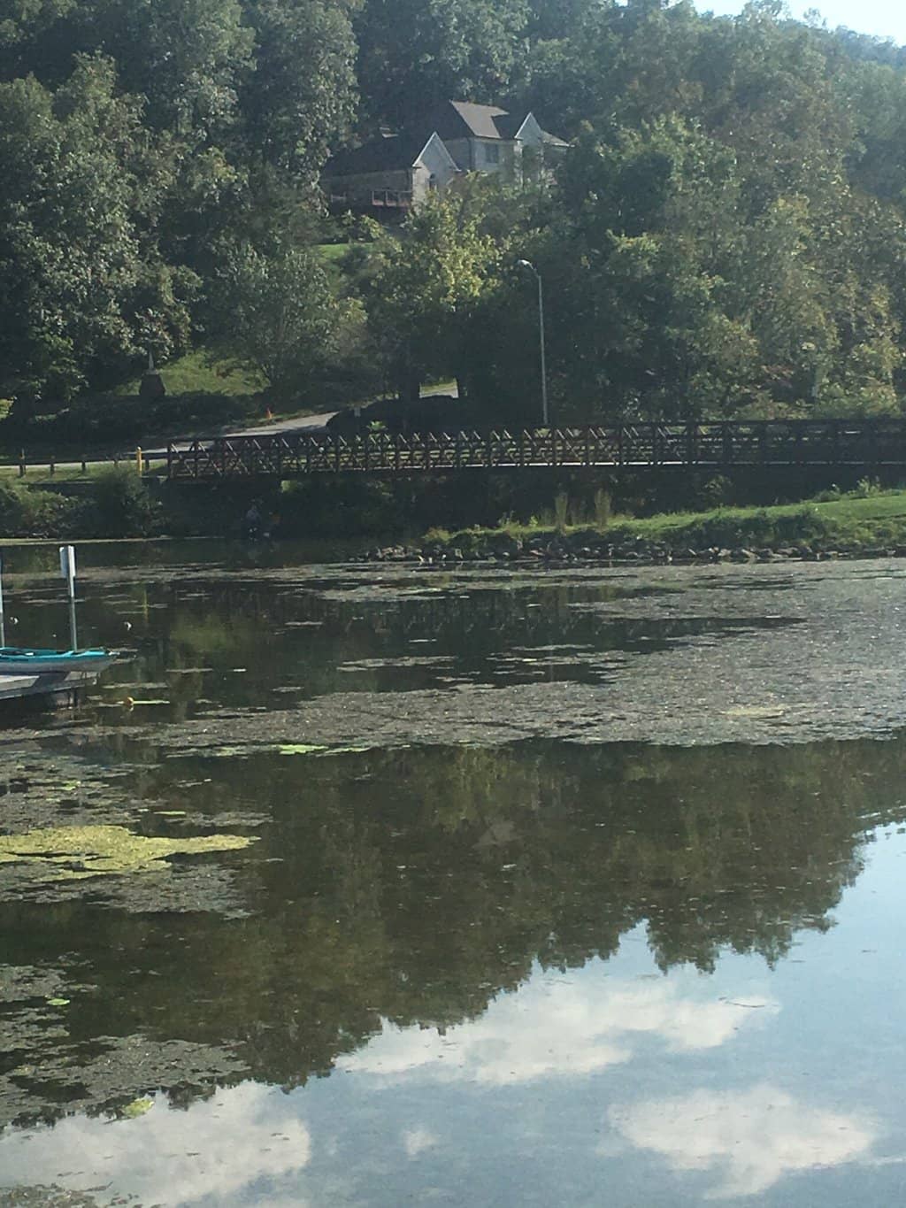 Mountain Biking Trails