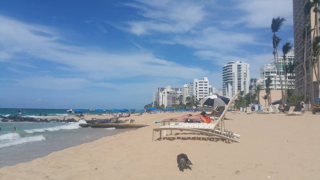 Plane Spotting Spectacle