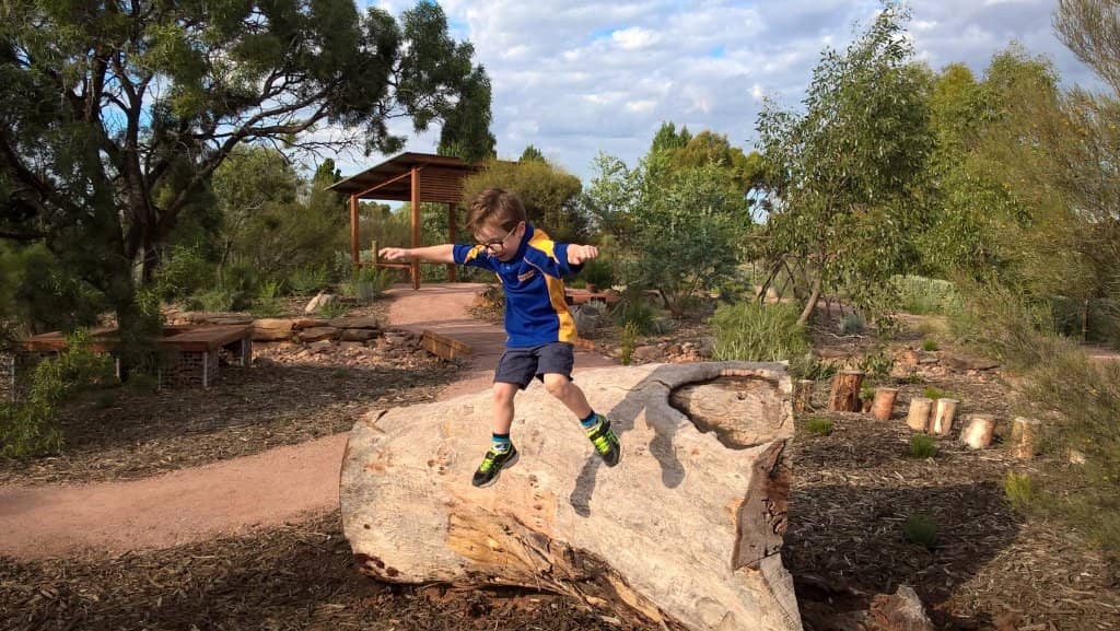 Scenic Walking Trails