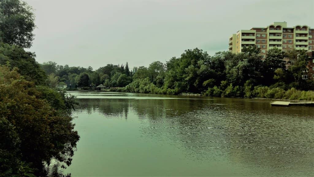 Vertical photo