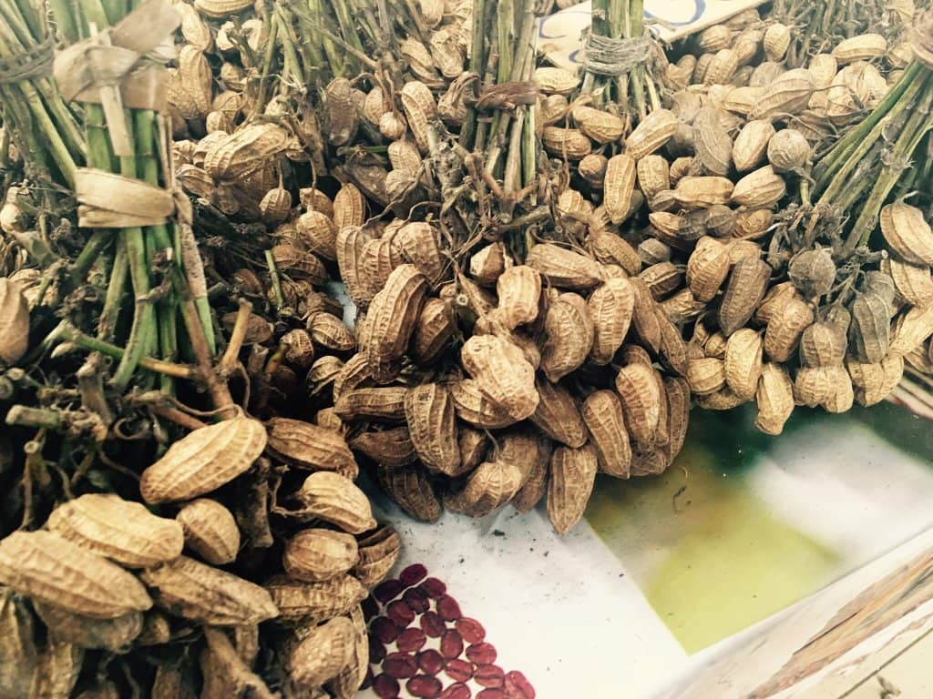 Artisan Food Stalls