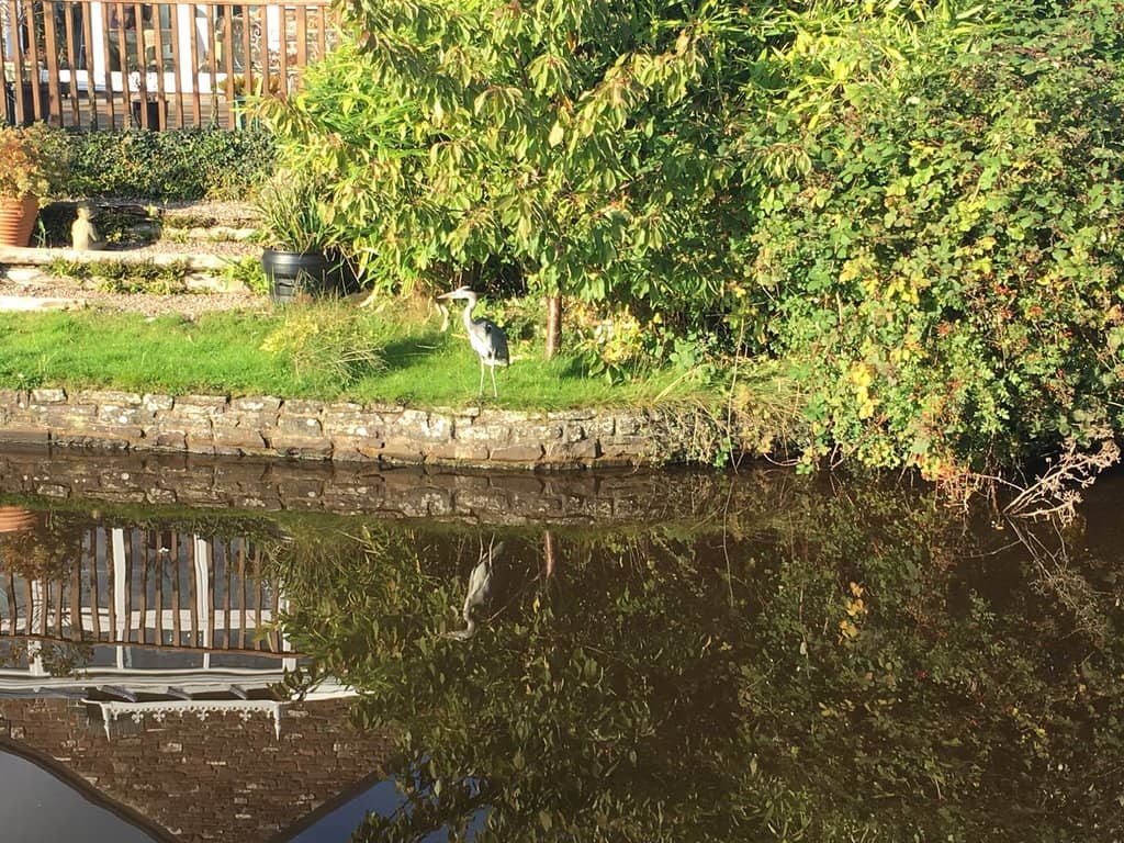 Canal Towpath Walks