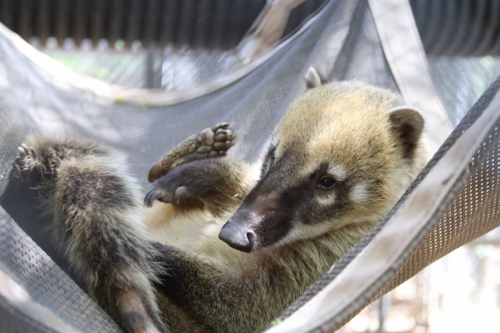 Educational Programs & Hikes