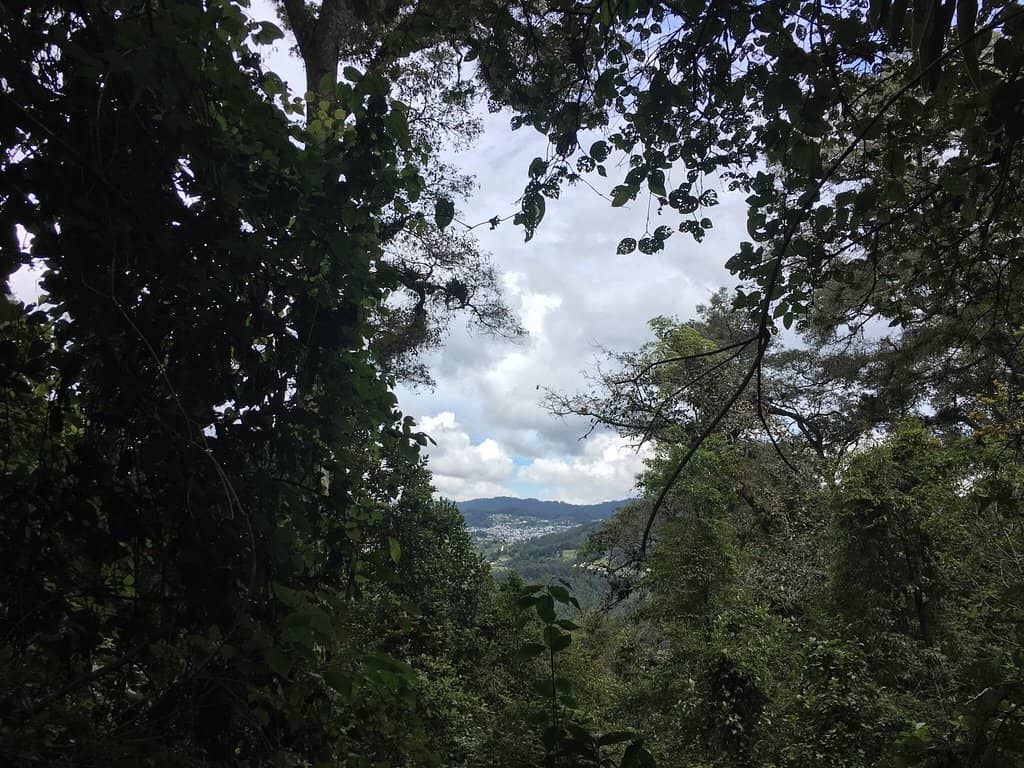 Vertical photo
