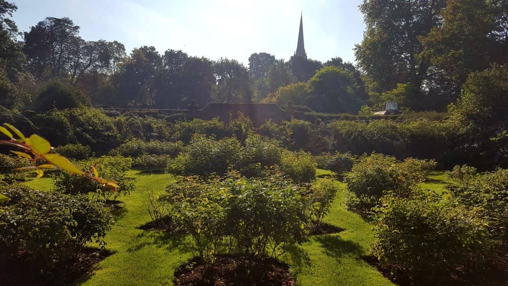 The Hedge Maze