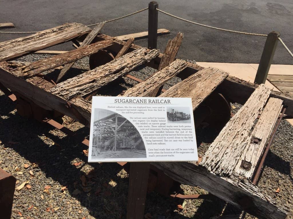 Engraved Donor Bricks