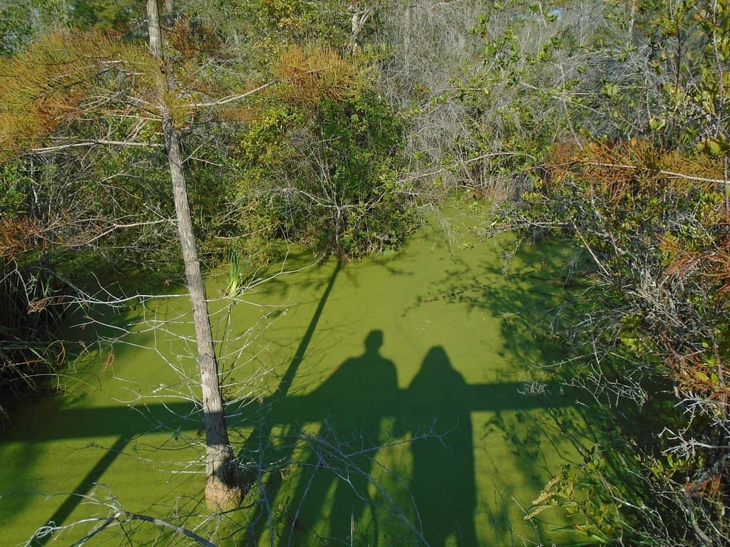 Wascana Creek Trails