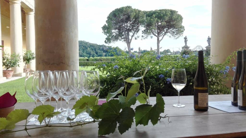 Vineyards & Wine Tasting