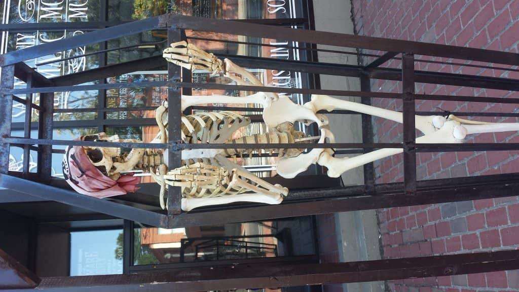 Classic Monster Tributes