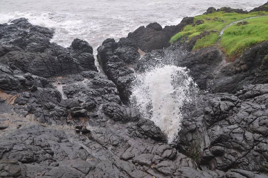 Monsoon's Lush Embrace