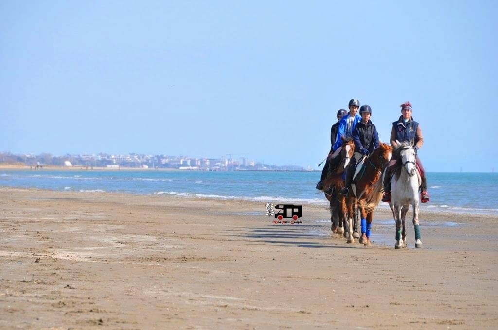 Camargue Horse Sanctuary