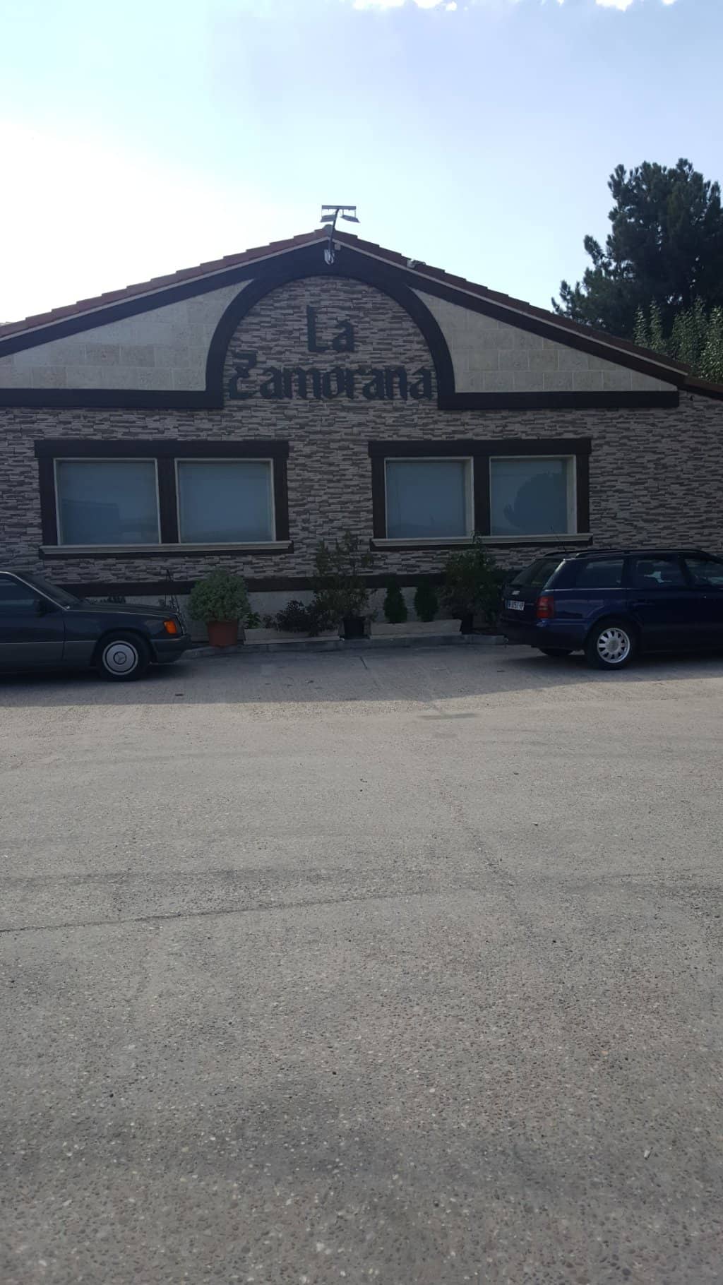 Renowned Grilled Octopus