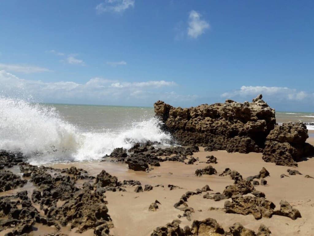 Local Flavors by the Sea