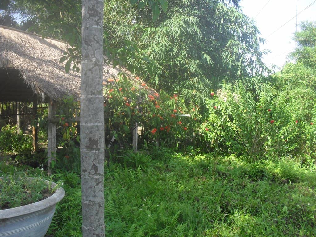 Waterfall Sliding Adventure