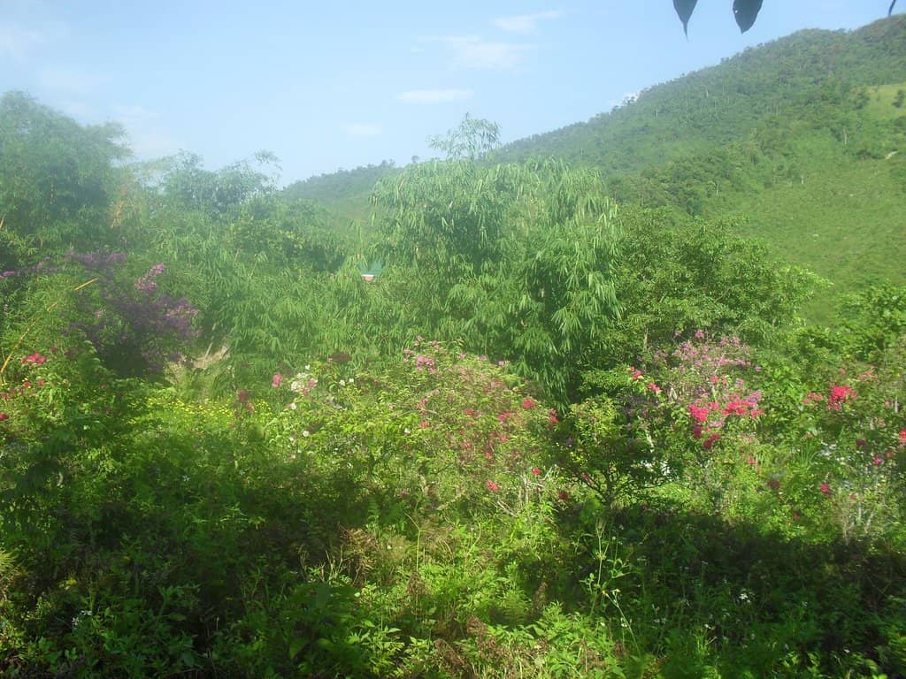 Refreshing Waterfalls