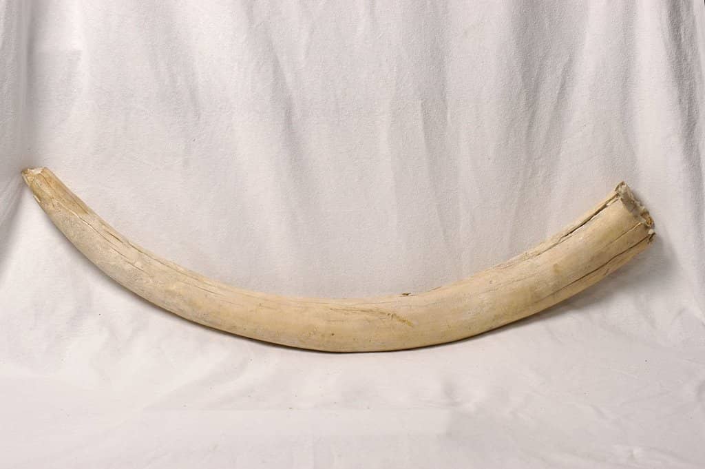 Children's Explorer Backpacks