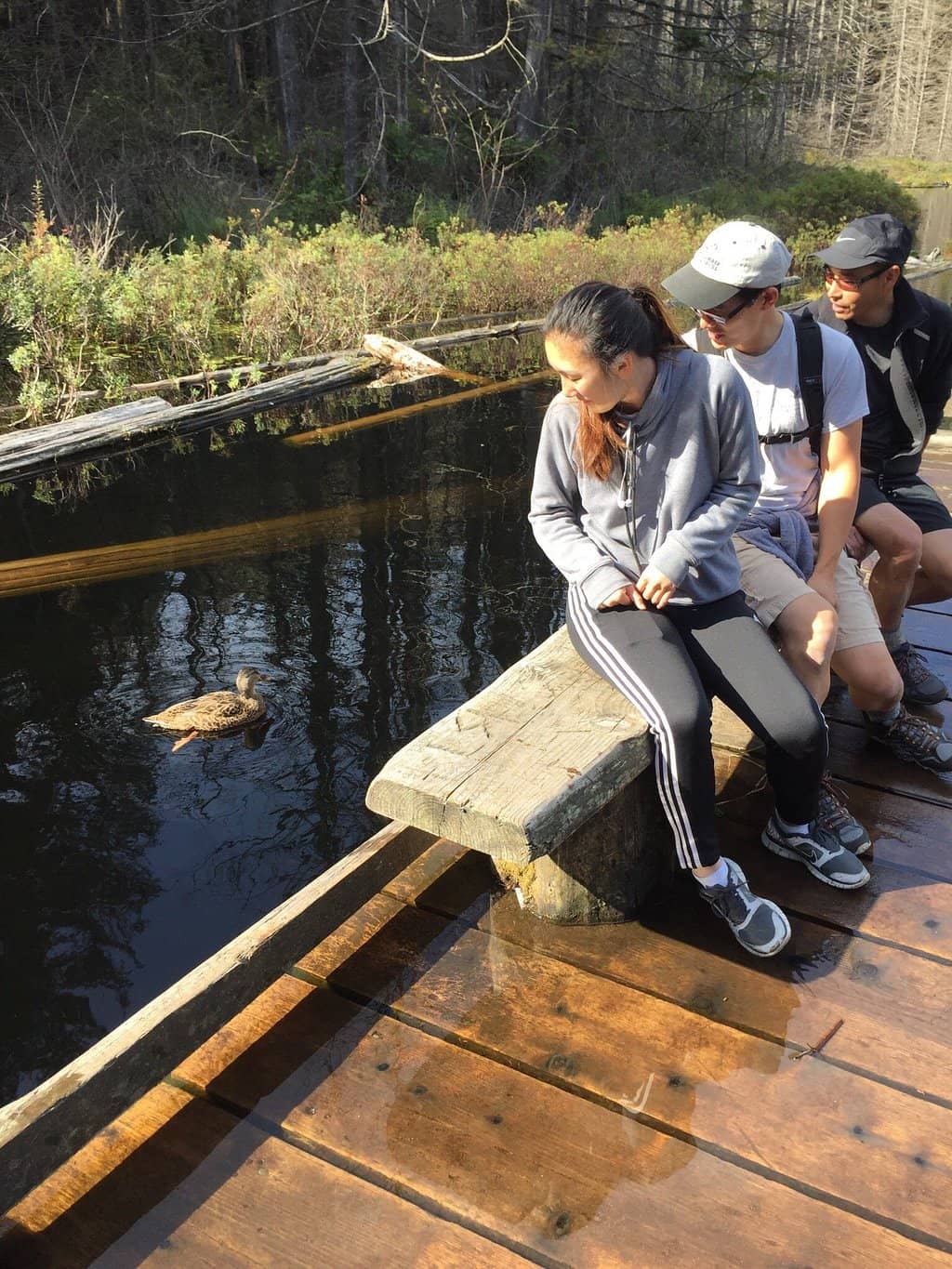 Pacific Temperate Rainforest