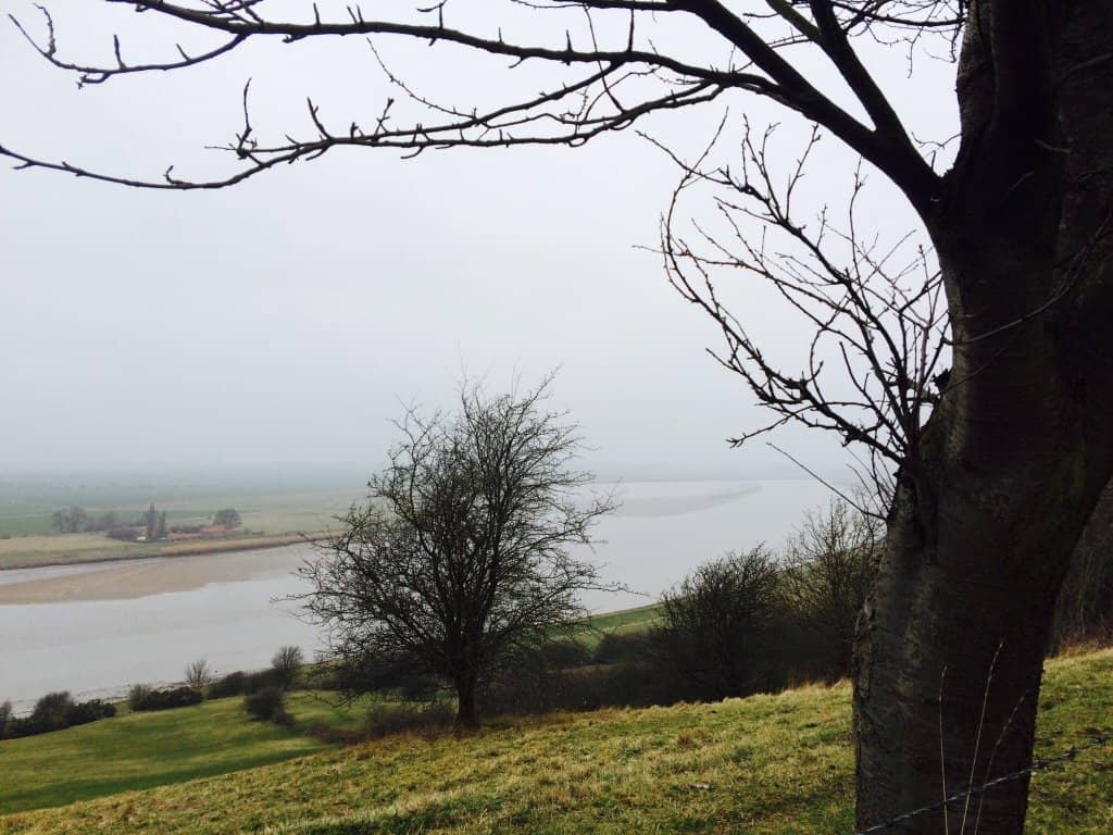 River Confluence Views