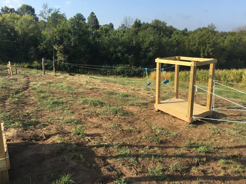 Cider & Donut Delights
