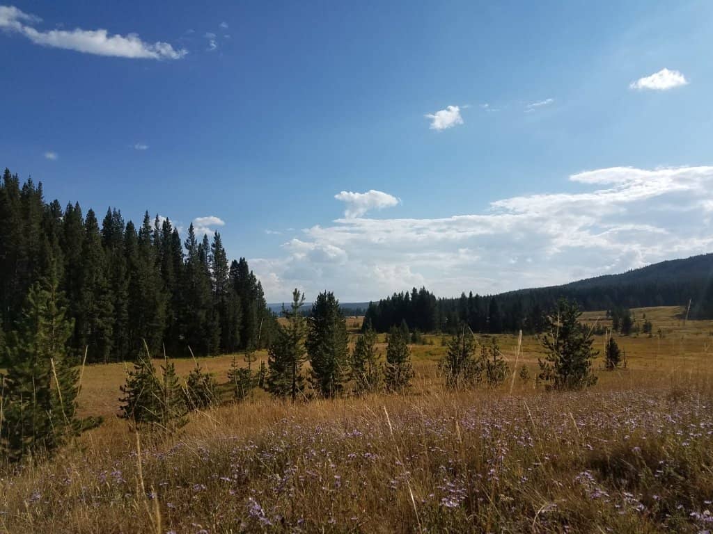 Canoeing to Lava Tubes