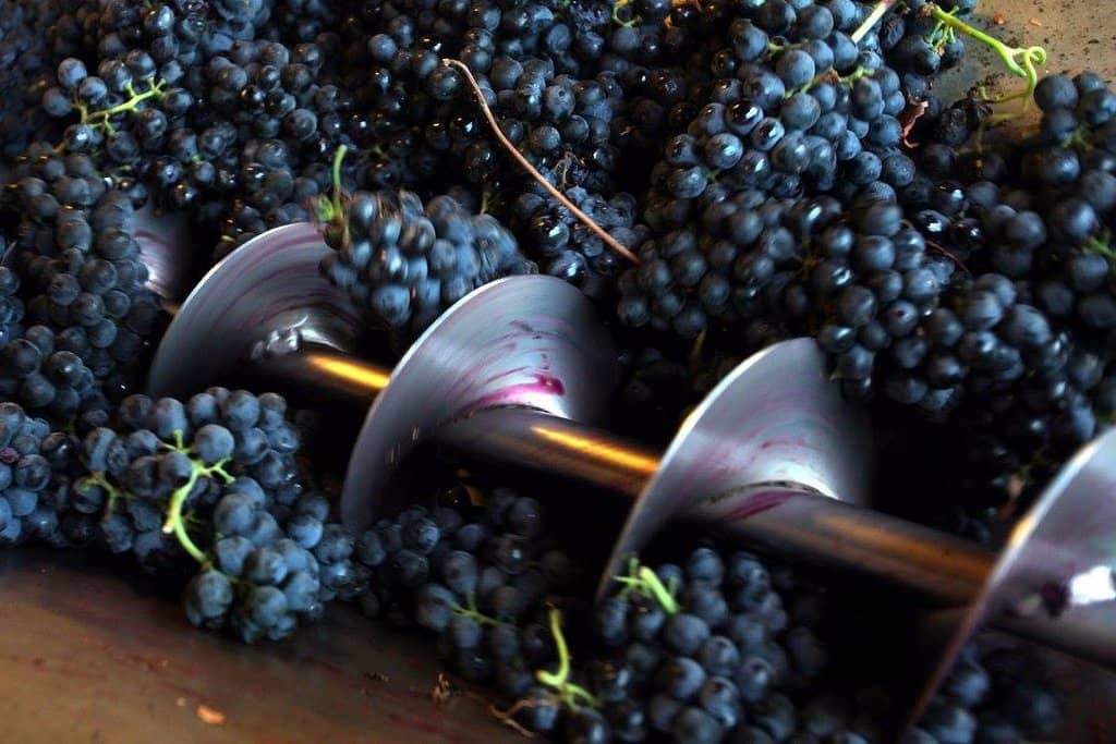 Boutique Wine Tasting