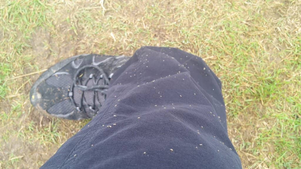 Boardwalk at the Top