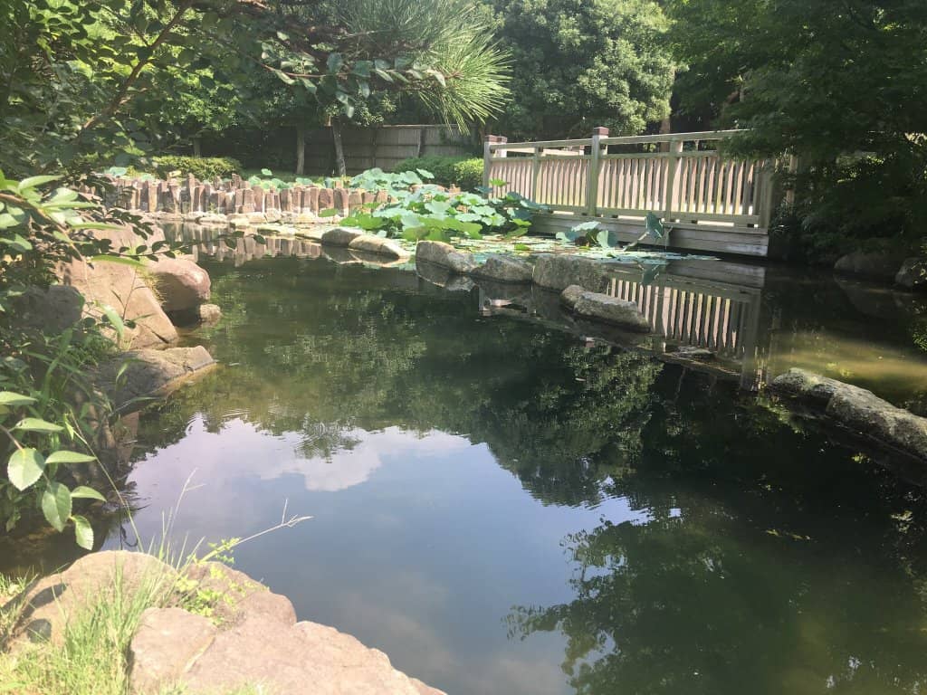 Summer Greenery & Wind Chimes