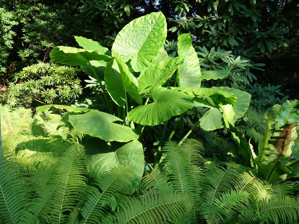 Themed Ecological Zones