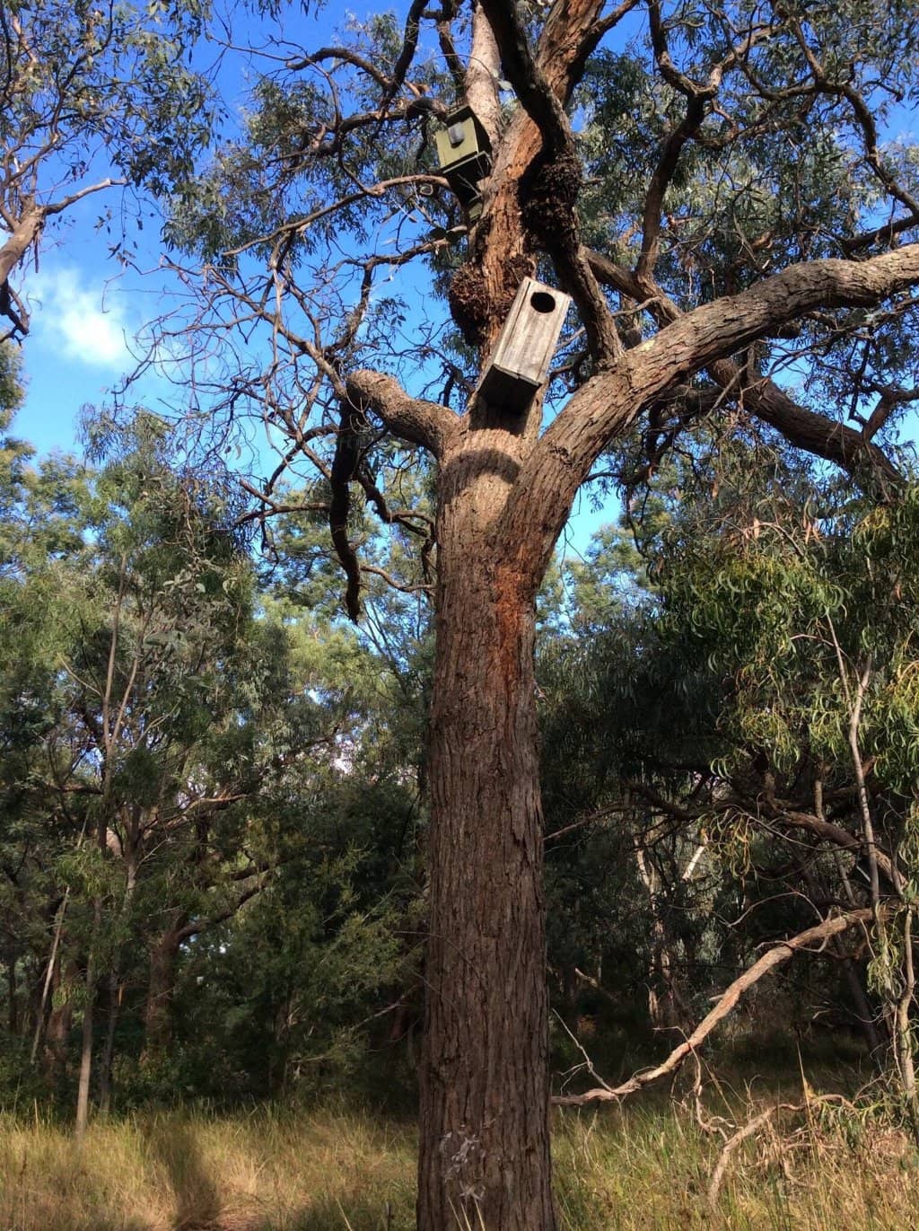 Vertical photo