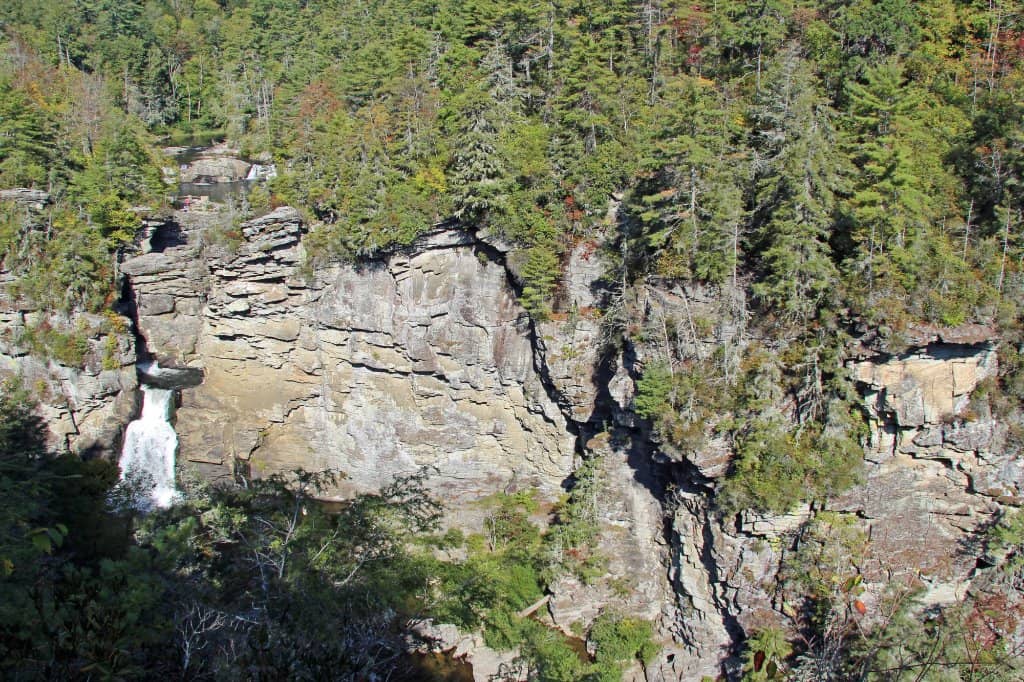 Erwin's View
