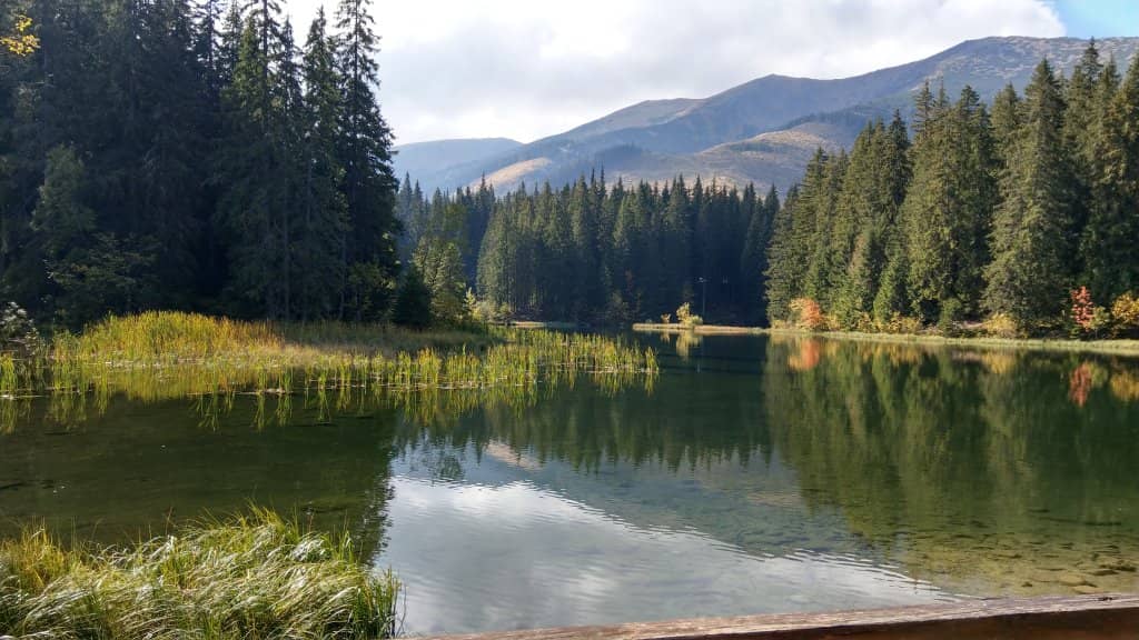 Lakeside Benches