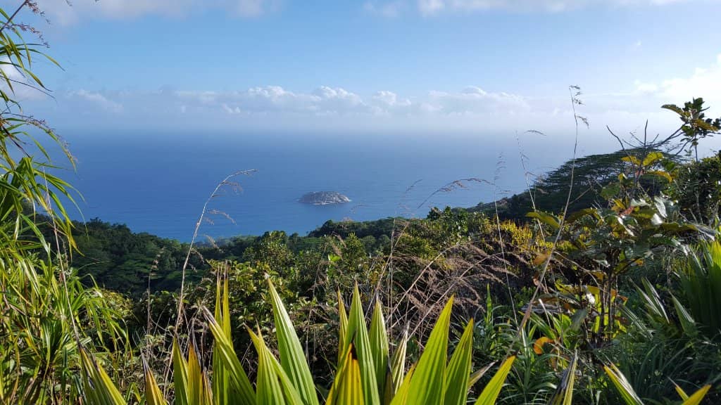 Lush Tropical Scenery