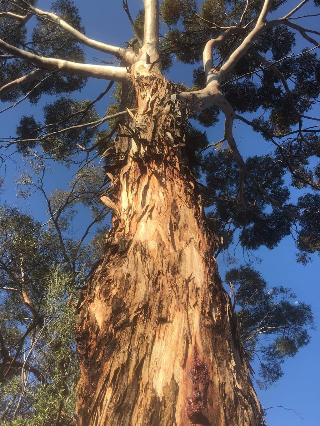 Katunga Lookout