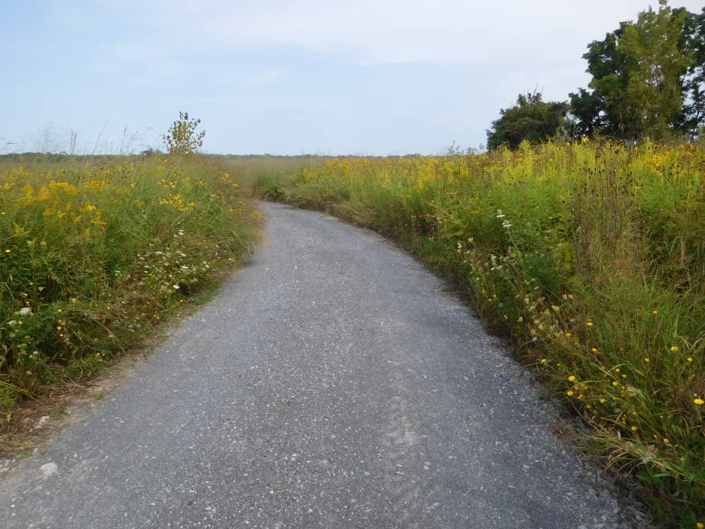 Blue Heron Trail