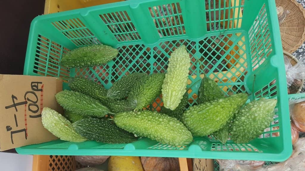 Unique Souvenir Finds