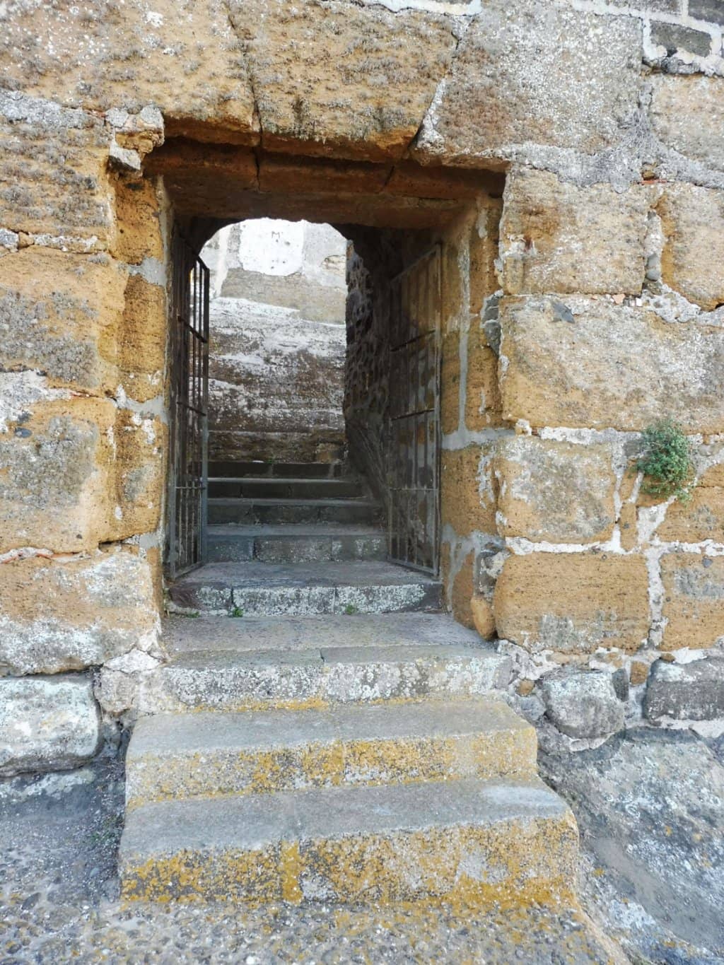 Granite Columns and Capitals
