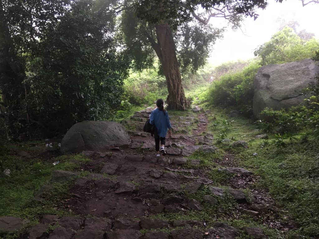 Vertical photo