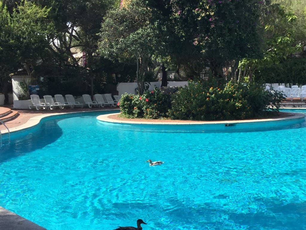 Semi-Wild Animal Habitats