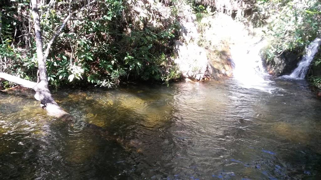 Scenic River Walk
