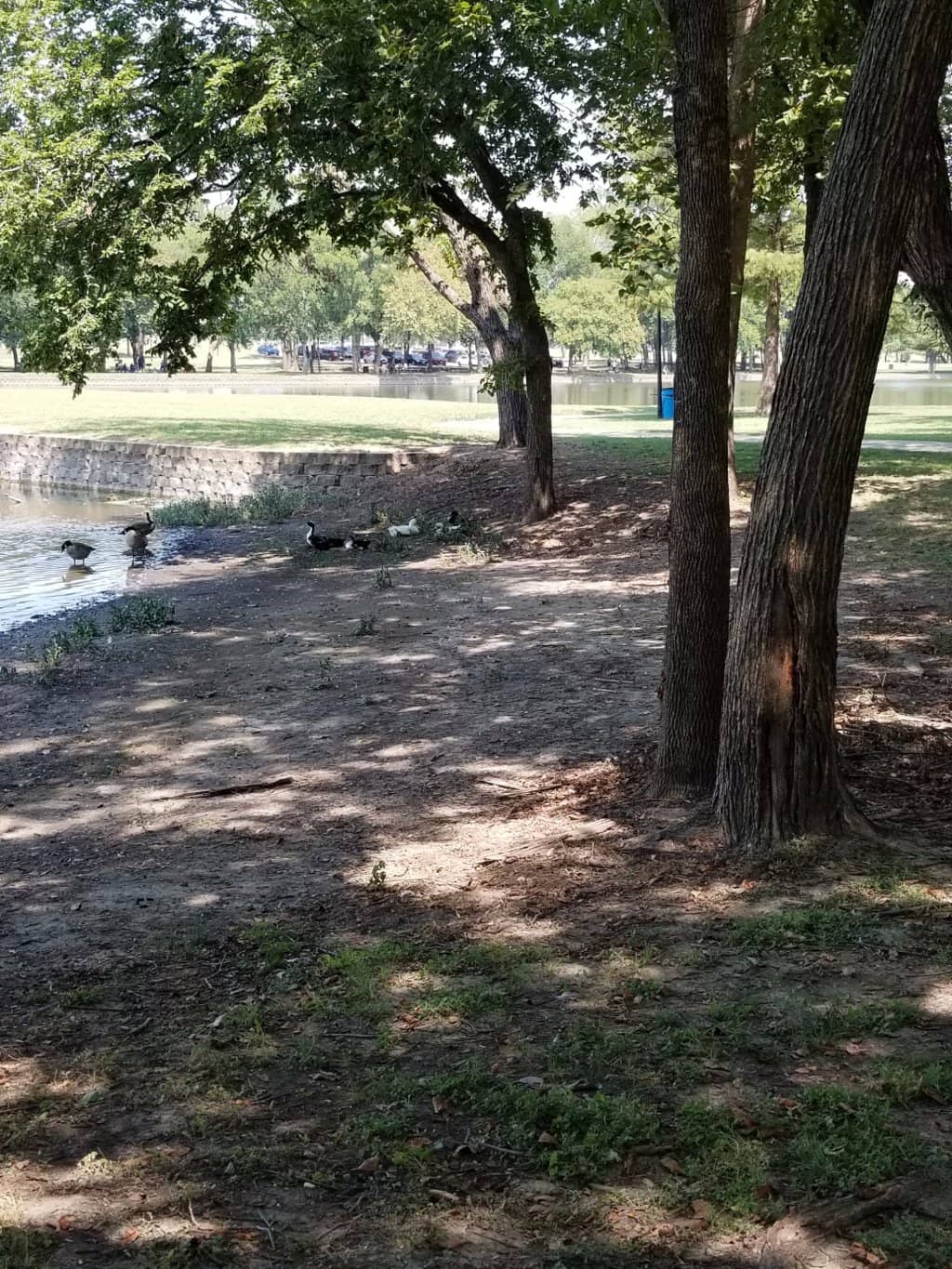 Walking & Biking Trails