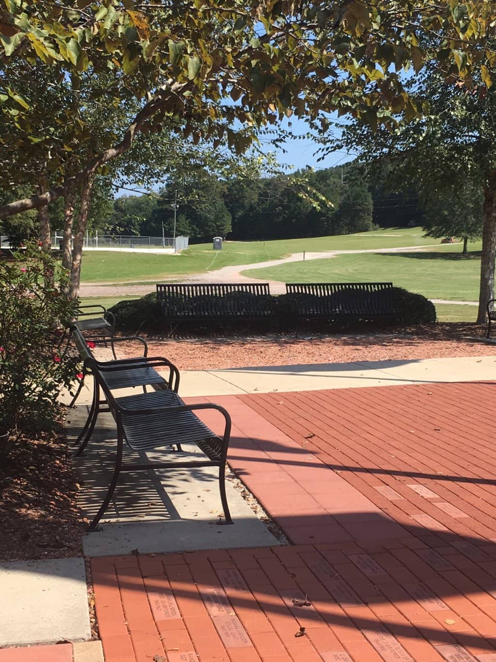 Fitness Court & Open Fields