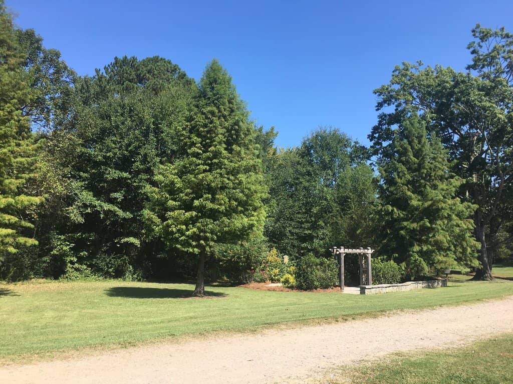 Inclusive Playground