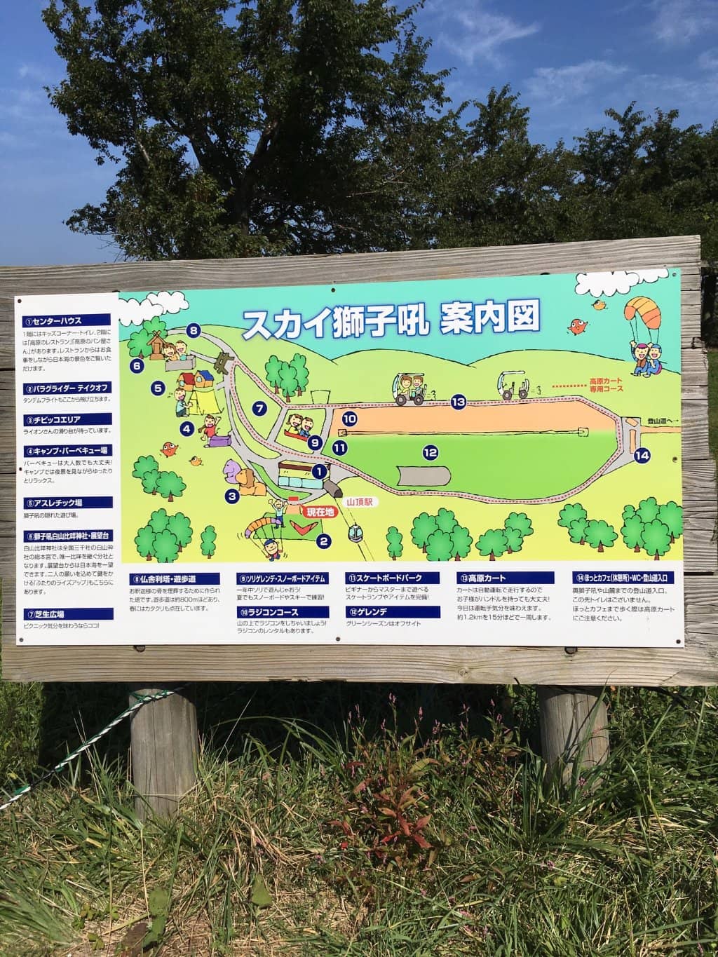 Paragliding Adventures