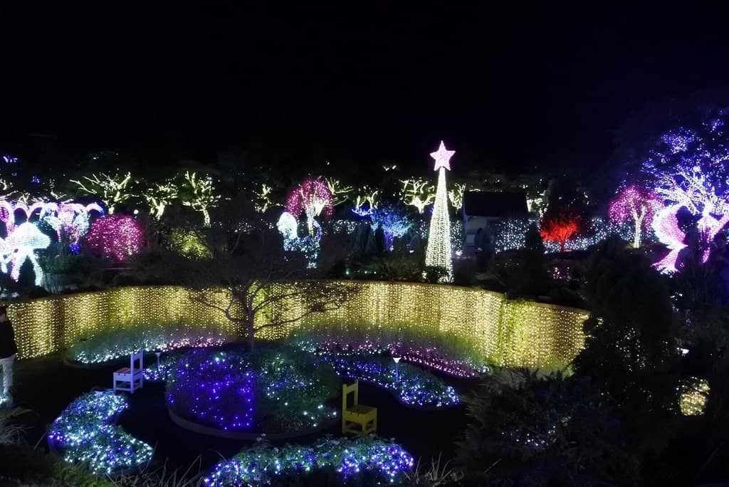 Vibrant Herb Gardens