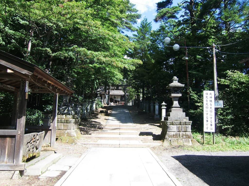 Vertical photo