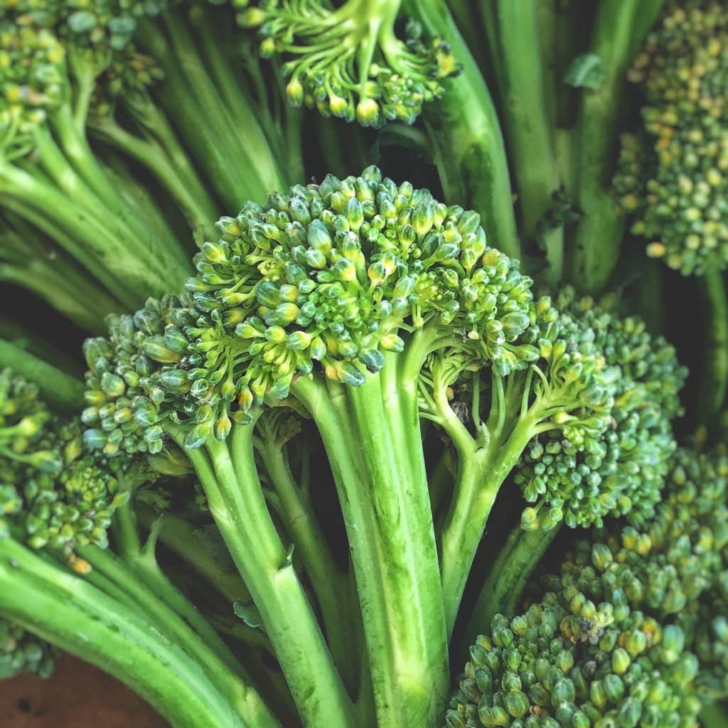 Food Truck & Vendor Eats